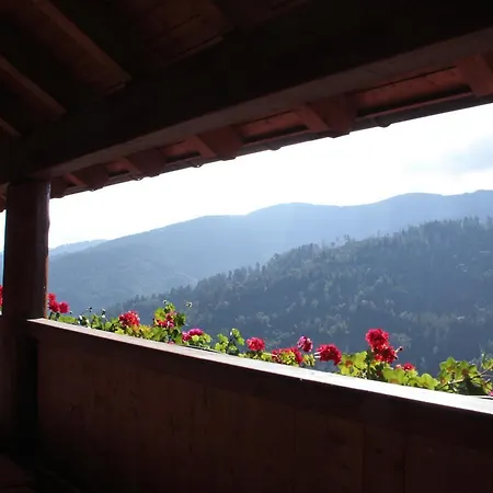 Inn Chalet Pierre Sainte-Marie-aux-Mines